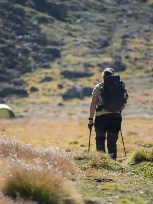 A trekker with poles walking towards tents on a high meadow
