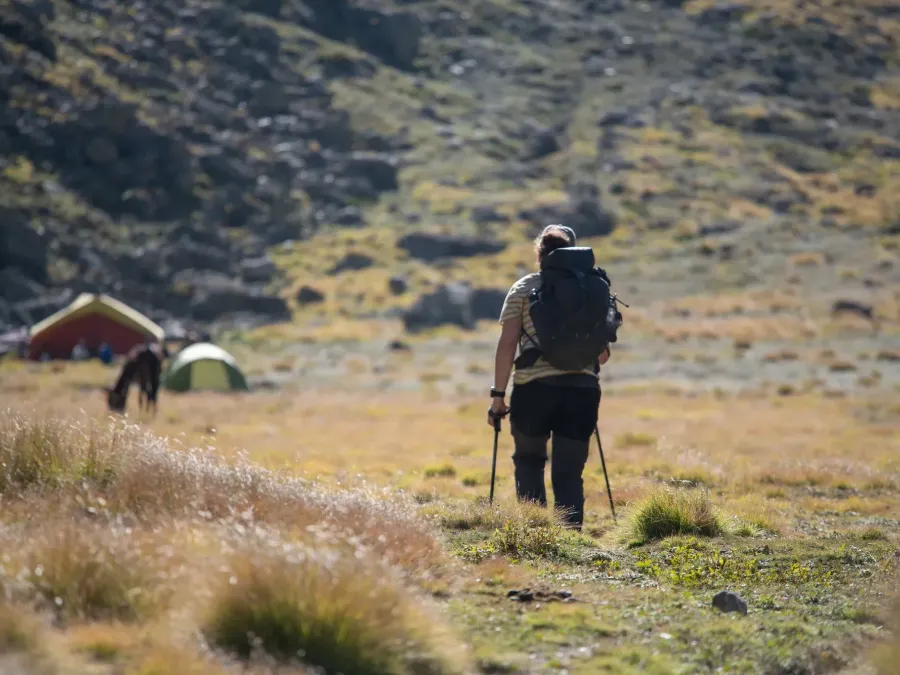 A trekker with poles walking towards tents on a high meadow