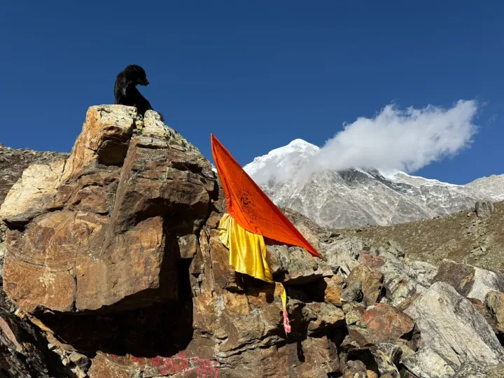 The rock of Sri Devpuriji's cave with an orange Yoga in Daily Life flag and a black dog, Neelkanth behind