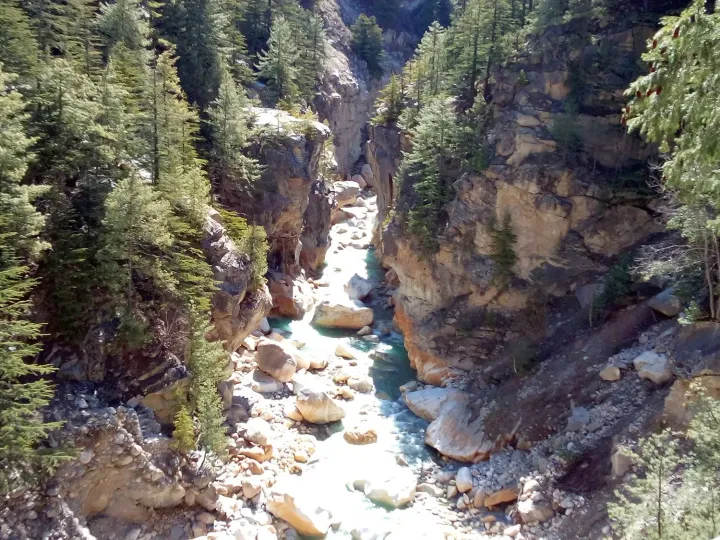 The Bhagirathi rushing through the narrow gorge of Surya Kund between cedar trees near Gangotri