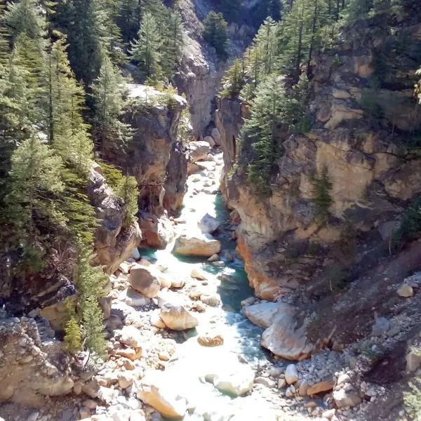 The Bhagirathi rushing through the narrow gorge of Surya Kund between cedar trees near Gangotri