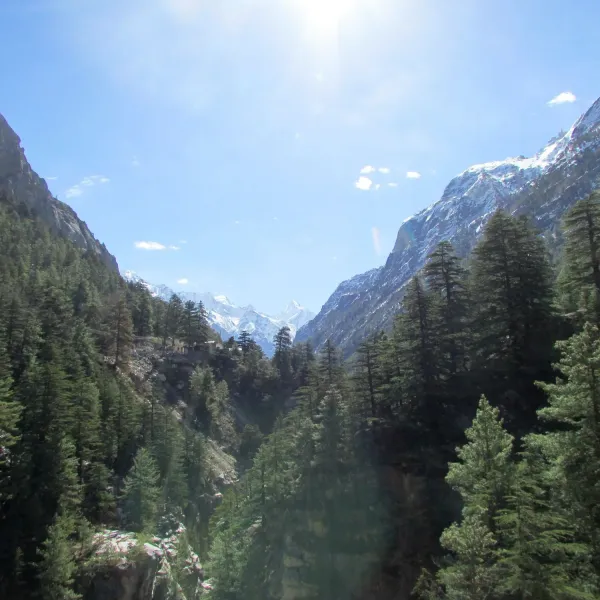 The cedar-forested valley of the Bhagirathi with snow peaks at its head