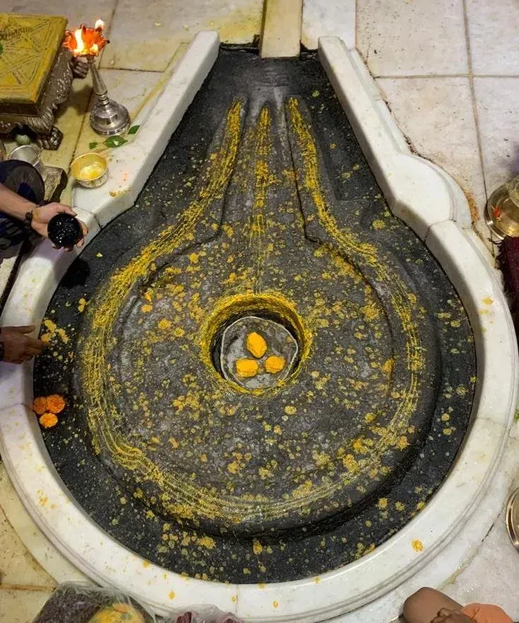 The triple lingam of Trimbakeshwar sprinkled with turmeric inside its marble basin